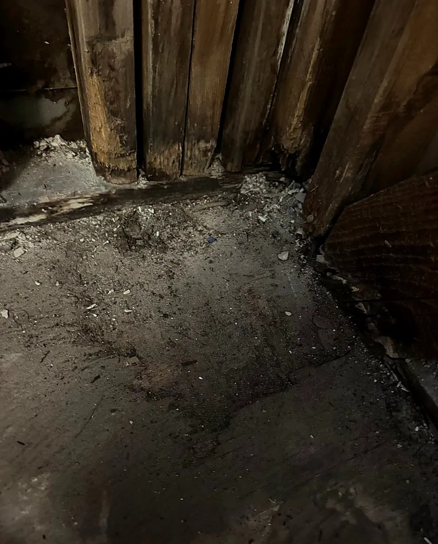 Rotten subfloor